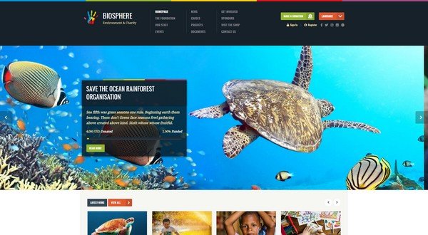 Biosphere is another excellent non-profit WP theme created by WPlook.