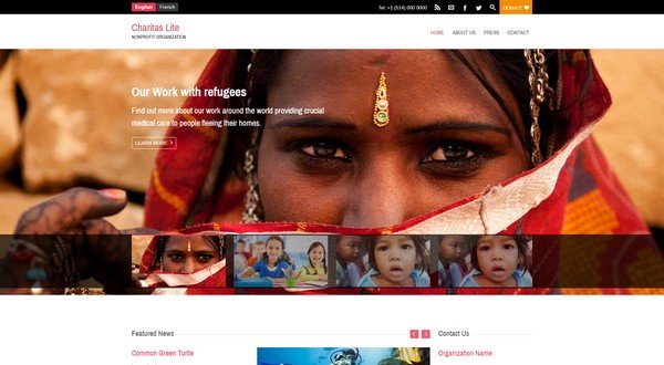 Charitas Lite is a free nonprofit WP theme from WPlook