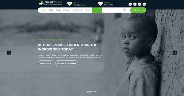 Charity Fundraiser is a free WPtheme from Themes Glance