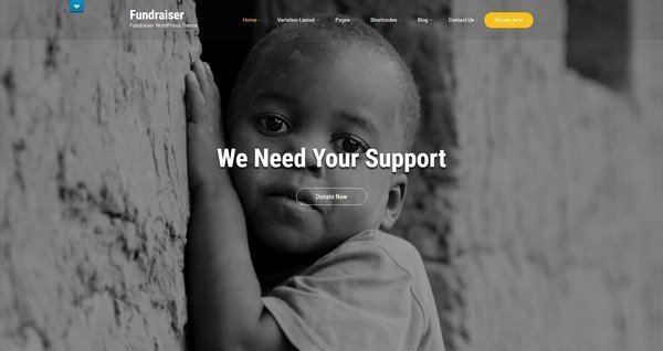 Fundraiser is a premium charity WordPress theme from SKT Theme.