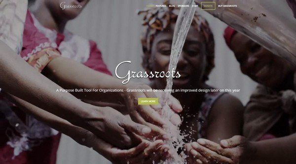 Grassroots is a nonprofit WordPress theme from Organized Themes.