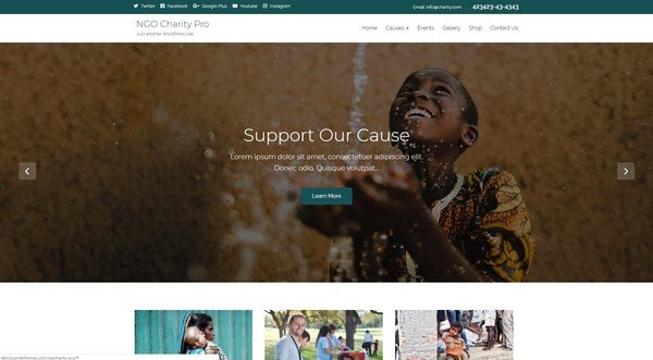 NGO Charity Lite is a free WordPress theme for non-profit organizations.