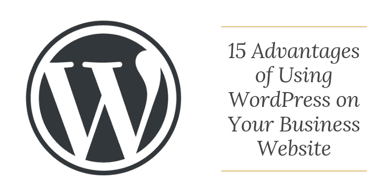 Using WordPress on Your Business Website