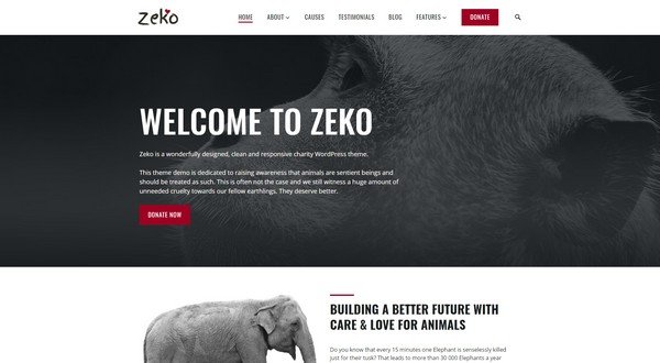 Zeko is great charity WordPress theme from Anariel Design.