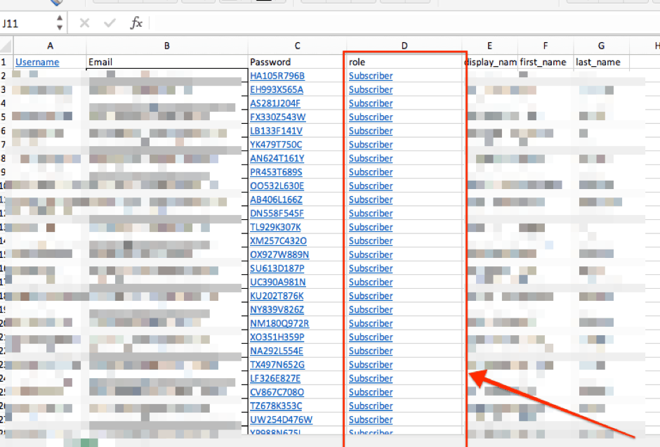 Role Column in Excel