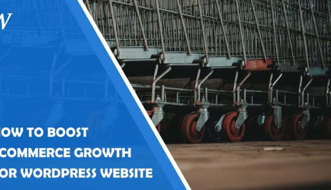 How to boost growth of your ecommerce wordpress site