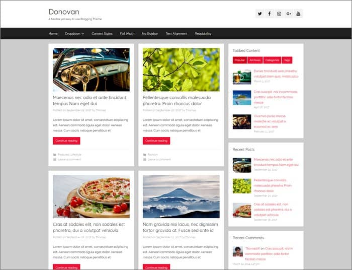 ThemeZee Q1. Donovan is a flexible yet easy to use blogging theme with a clean and modern design