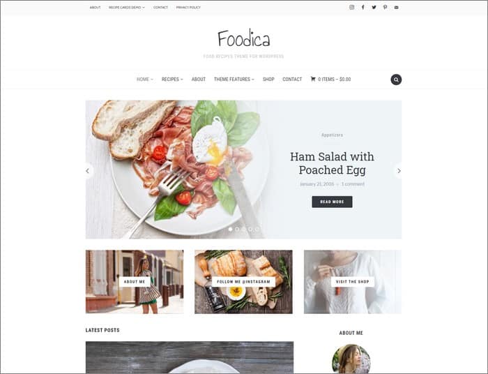 Foodica is the most popular theme from WPZOOM.