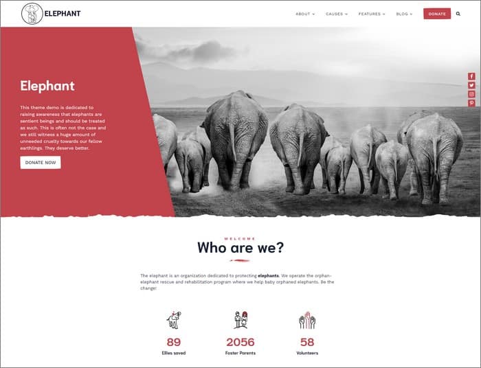 Elephant is a popular theme on Anariel Design.