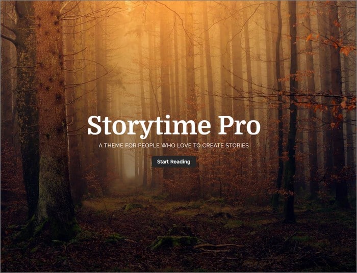 Storytime Pro is the best-selling theme from Rough Pixels.