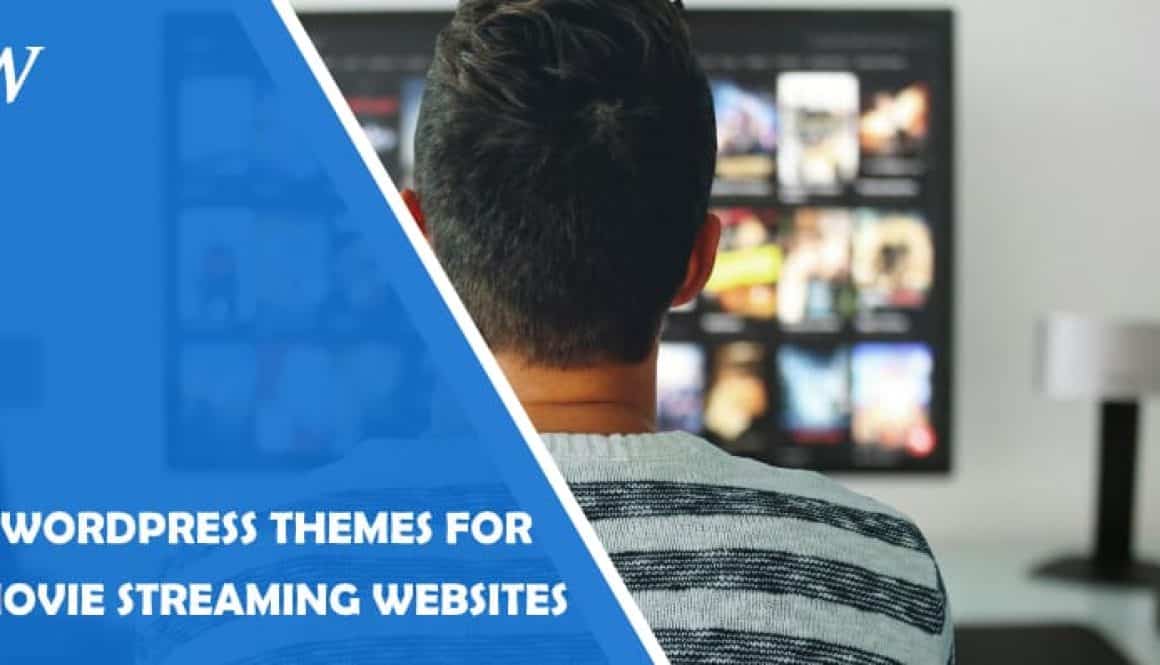 WordPress Themes for Movie Streaming
