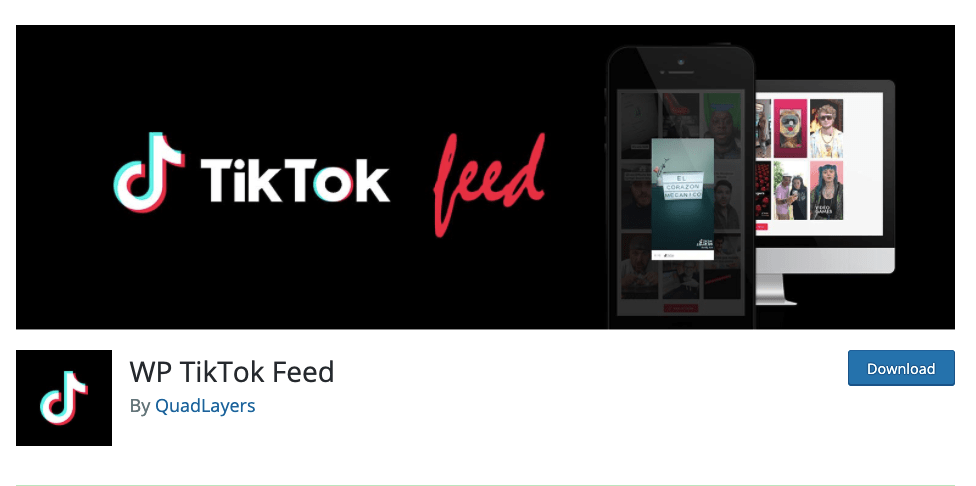 WP Tik Tok Feed