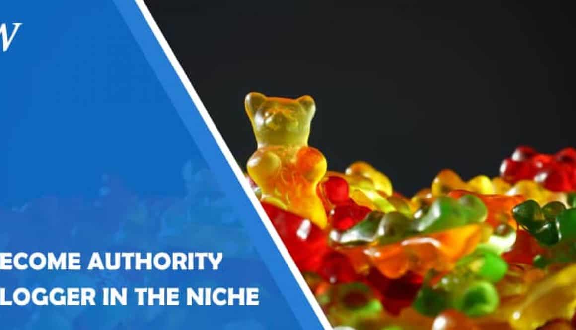 Become authority Blogger in the niche