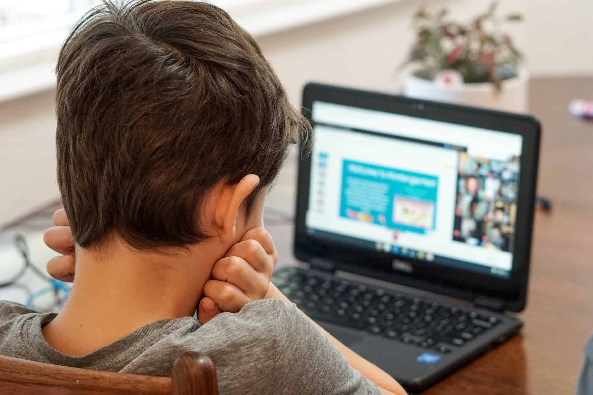 Boy learning online