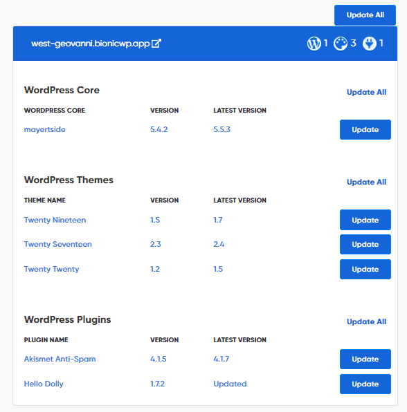 BionicWP update all option