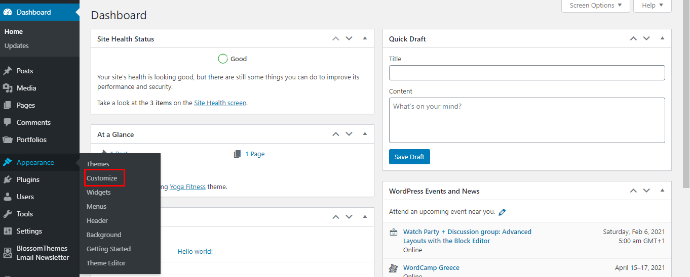 WordPress appearance customize option