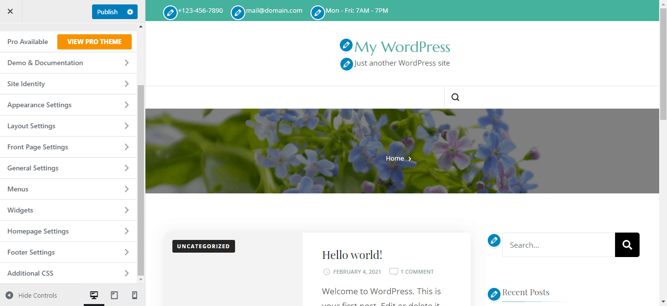 WordPress appearance customize page