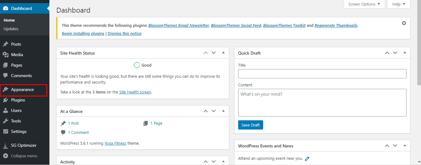 WordPress appearance tab