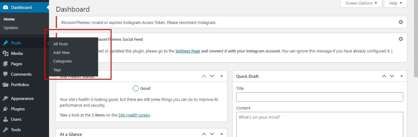 WordPress posts option