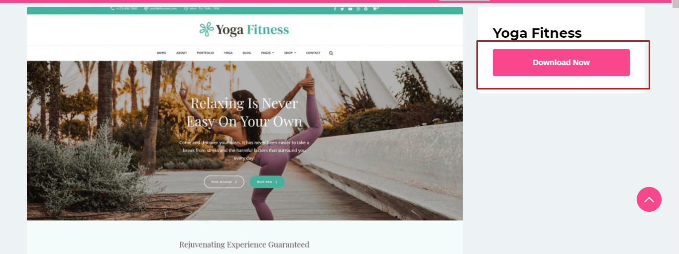 Yoga Fitness theme download