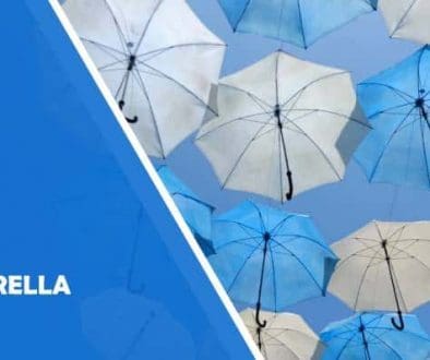 WP Umbrella Review Is It Worth The Hype in 2022