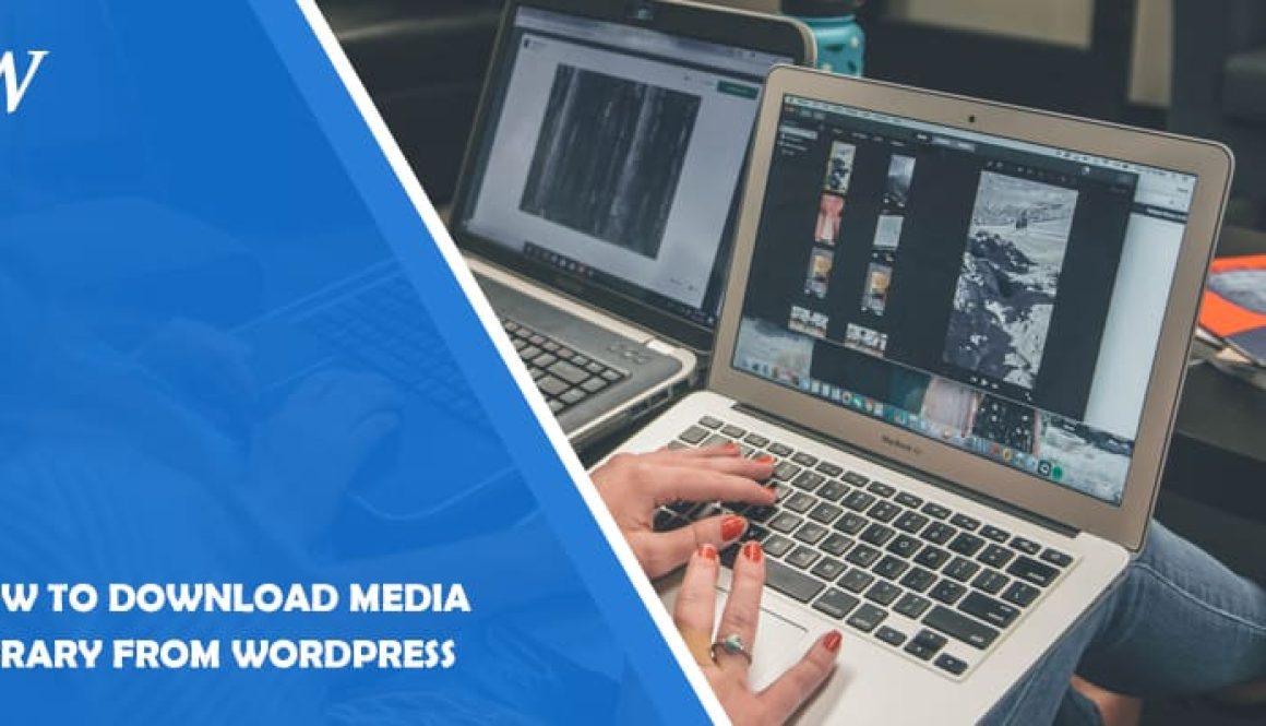How to Download Media Library from WordPress