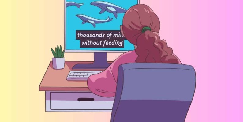 How to Fixe 9Anime Subtitles Not Working or Not Showing Up