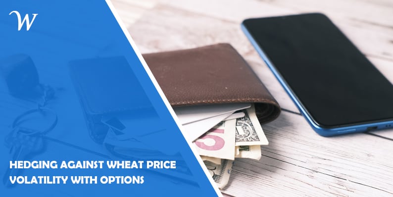 Hedging Against Wheat Price Volatility with Options