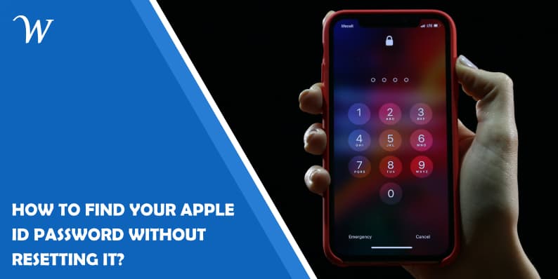 How To Find Your Apple Id Password Without Resetting It?