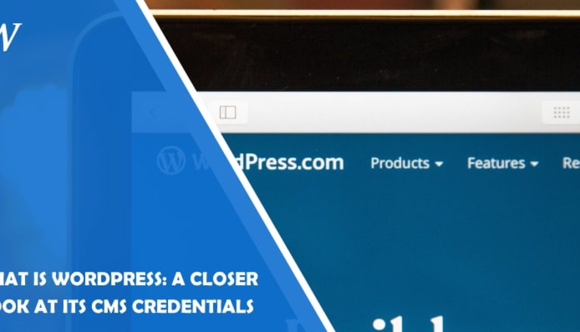 What is WordPress: A Closer Look at its CMS Credentials