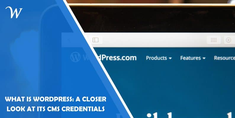 What is WordPress: A Closer Look at its CMS Credentials