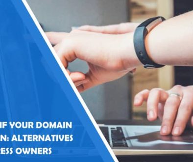 What to Do if Your Domain Name Is Taken: Alternatives for WordPress Owners