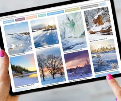 Troubleshooting Pinterest Feed Issues