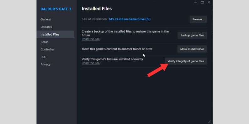 Verify Integrity of Game Files on Steam