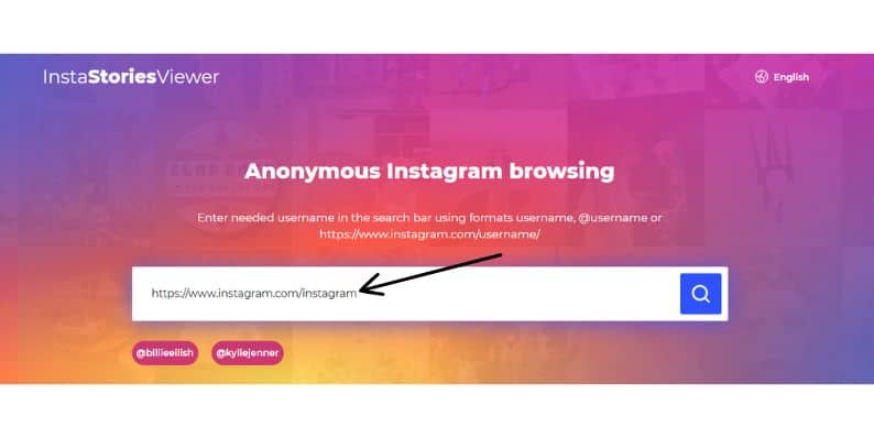 Using Third-Party Instagram Viewing Websites