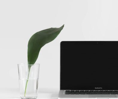 MacBook Pro beside plant in vase clearing cache, computer folder, onenote, data files