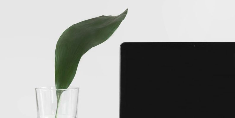 MacBook Pro beside plant in vase clearing cache, computer folder, onenote, data files