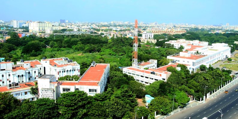 white and red concrete building near green trees during daytime university campus, graduation, international students