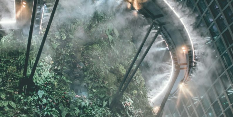 green-leafed plants alien worlds, space travel, futuristic landscape green-leafed plants alien worlds, space travel, futuristic landscape